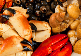 seafood to increase men's efficiency